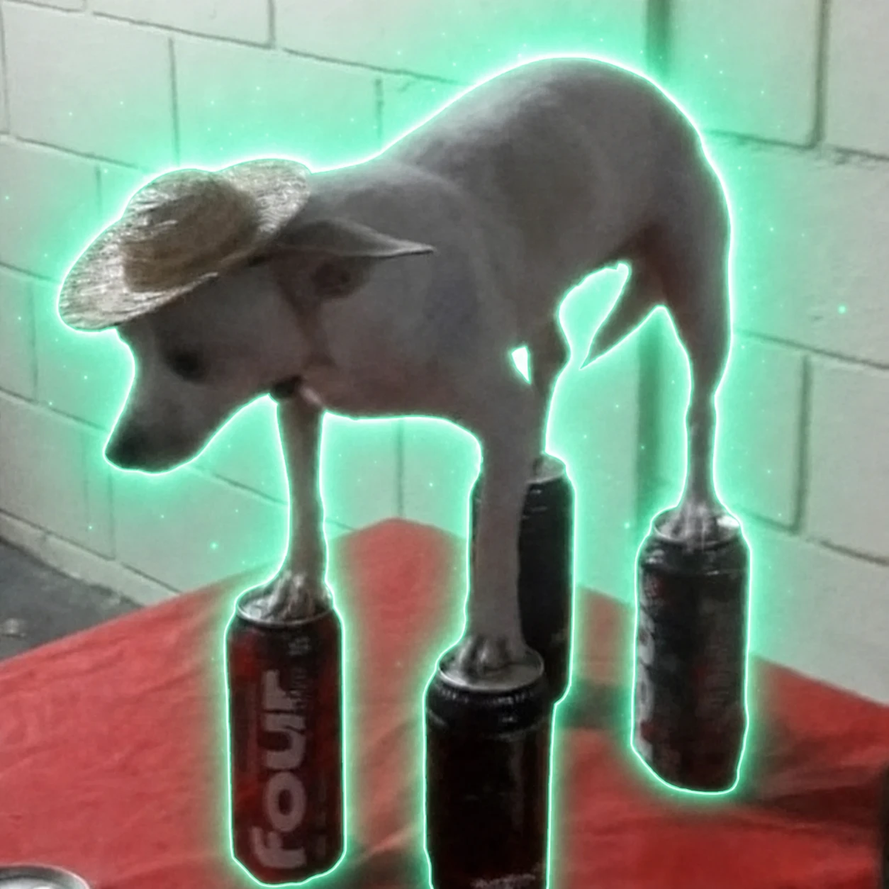 The original photo of Stable Dog standing on four cans