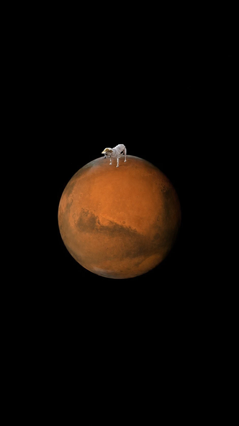 STABLE ON MARS